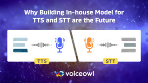 Why having in-house model of TTS (Text to speech) and STT ( Speech to Text) modell is sthe future for business finding Voice AI solutions for their busisnesses.